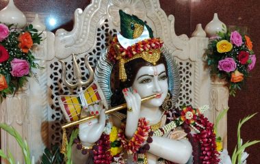 Mahashivratri Utsav 2020-13