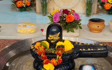 Mahashivratri Utsav 2020-9