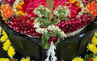 WhatsApp Image 2021-01-25 at 6.26.56 PM (1)