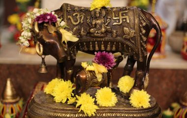 WhatsApp Image 2021-11-04 at 4.39.02 PM (2)