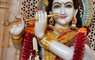 WhatsApp Image 2021-12-22 at 9.50.01 PM